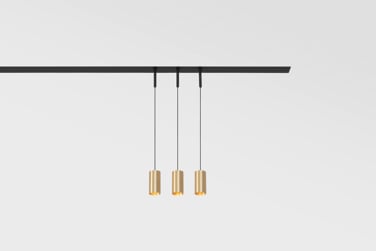 Linear lighting with pendant spotlight